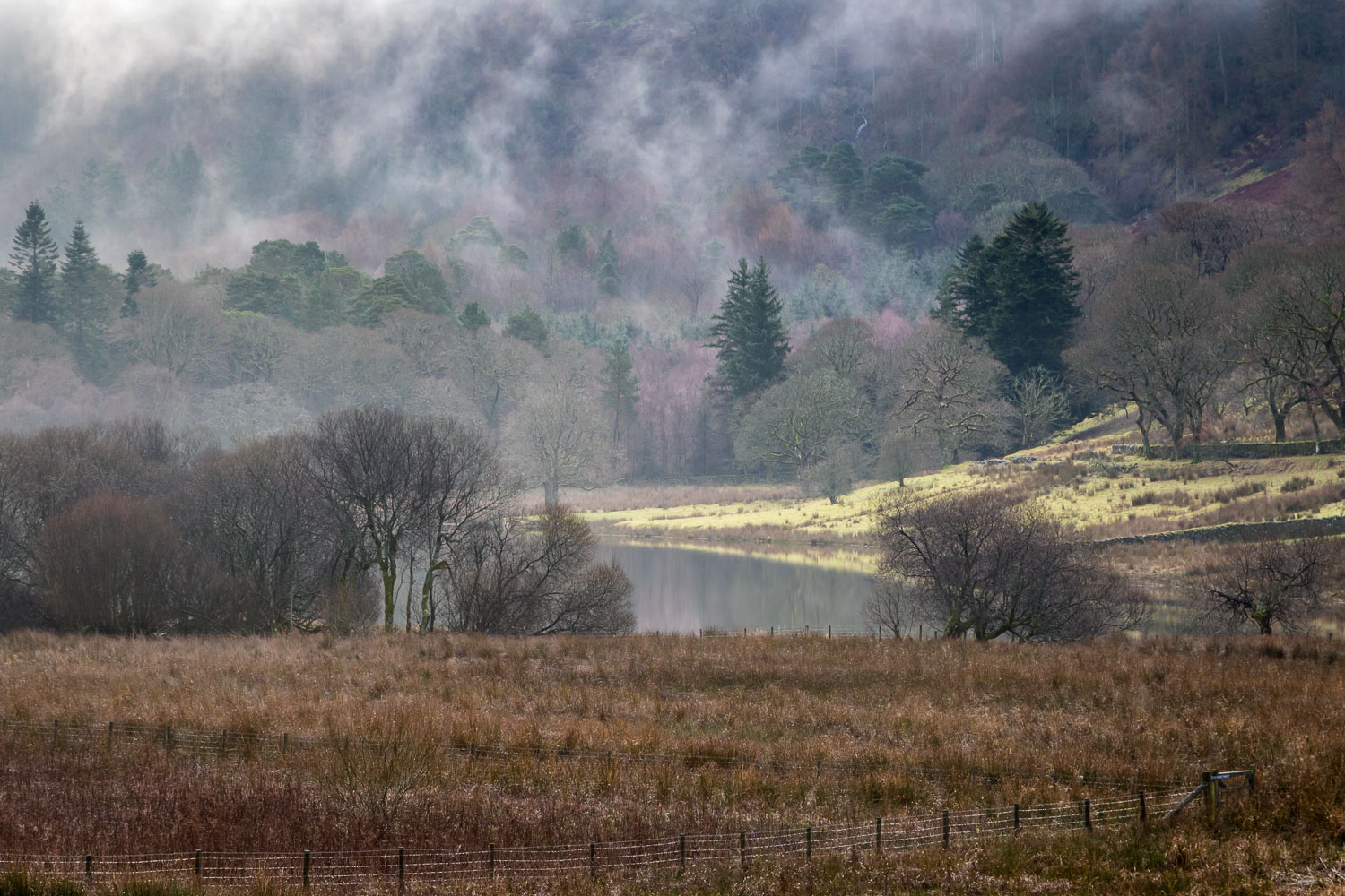 Mist on Loweswater