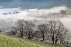 Newlands Valley Newlands Valley