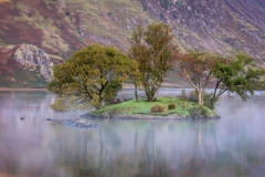 Woodhouse Islands Crummock Water