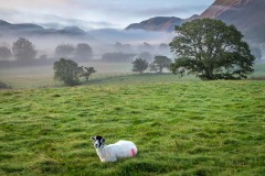 mist, Lorton Vale