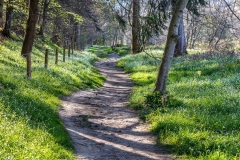 Near Melrose, Scottish Borders