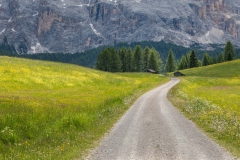 Armentara meadows, Dolomites