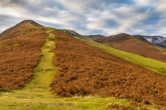 Barrow