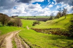 Yorkshire Wolds near Bishop Wilton