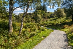 Path around Tarn Hows