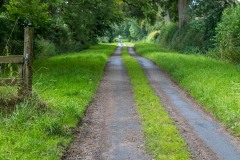 Moor Lane, Hambleton Hills
