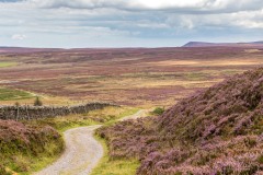 Cleveland Way, Black Hambleton