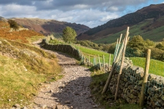 Langdale