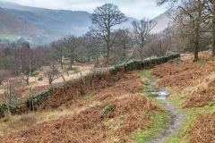 Patterdale