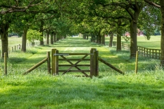 Burton Constable