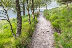 Path beside Buttermere