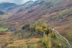 Borrowdale