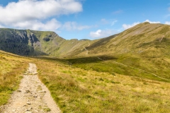 Catstycam