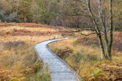 Manesty Park, Derwent Water