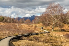 Boardwalk to Derwent Water