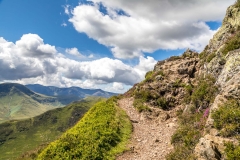 Causey Pike