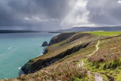 Newport Bay,  Dinas Island