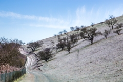 Near Drewton