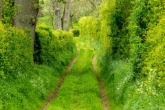 Frith Lane, Eden Valley