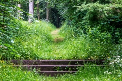Hutton-in-the-Forest