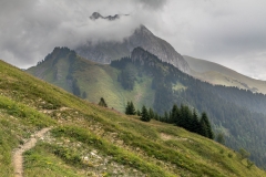 Col d'Ubine, Les Cornettes de Bise
