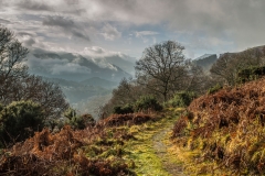 Latrigg
