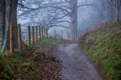 Latrigg