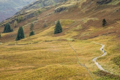 Path to Blea Tarn