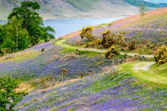 Rannerdale