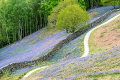 Loughrigg Terrace