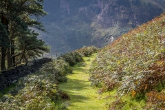 The old coffin road above Loweswater