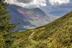 Above Holme Wood