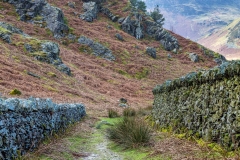 Rannerdale