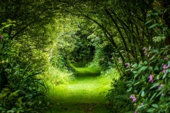 Renishaw Gardens