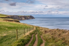 Cleveland Way