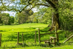 Eden Valley