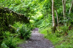 Rydal Water
