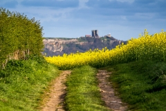 Scarborough Castle