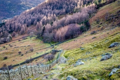 Glencoyne