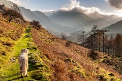 Ullswater Way