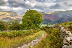 Grasmere