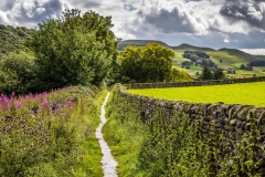 Stainforth