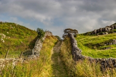 Stainforth