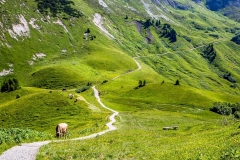 Austrian Alps