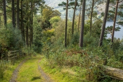 Thirlmere