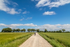 Thixendale