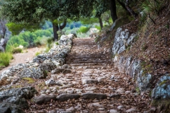 Northern Mallorca