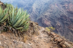 Valle de Rey