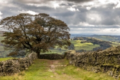 Troutbeck