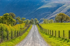 Wasdale